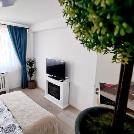 Апартаменти Cozy Studio Брашов Екстер'єр фото