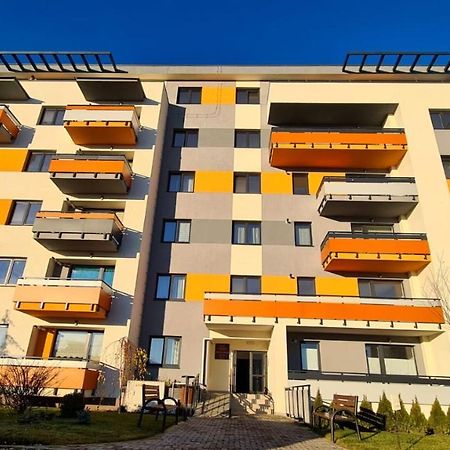 Апартаменти Cozy Studio Брашов Екстер'єр фото