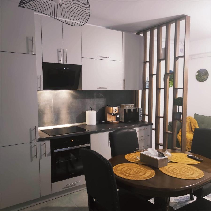Апартаменти Cozy Studio Брашов Екстер'єр фото