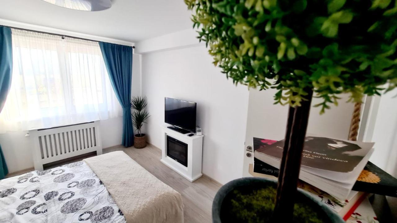 Апартаменти Cozy Studio Брашов Екстер'єр фото