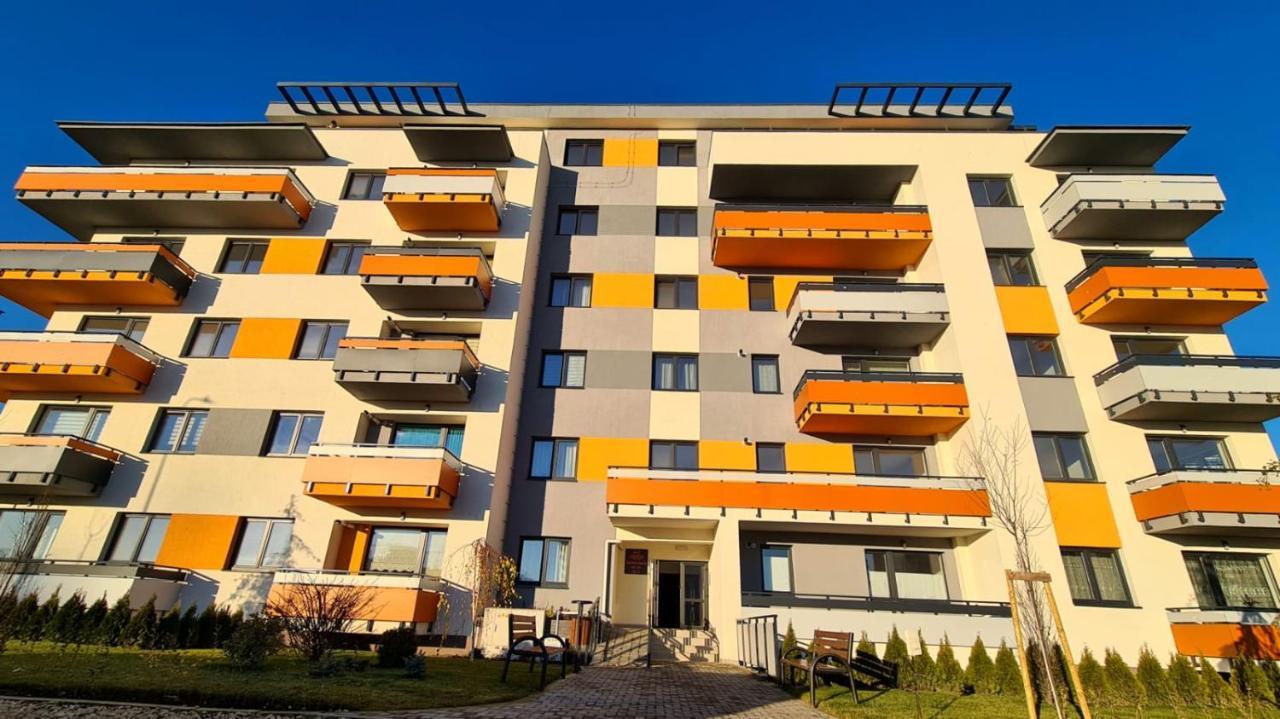 Апартаменти Cozy Studio Брашов Екстер'єр фото